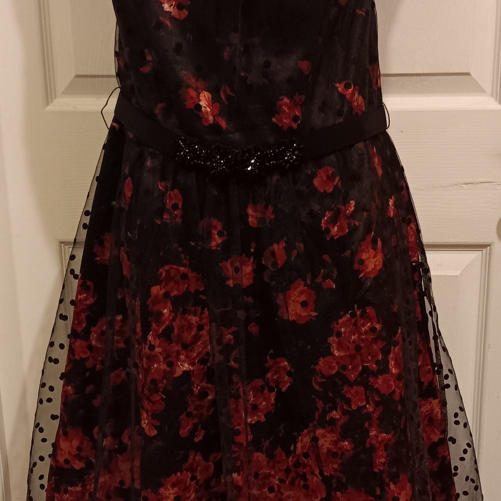 Carmen Marc Valvo Black and Red Floral Kids Dress.